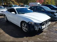 1FA6P8THXH5305564 2017 FORD MUSTANG