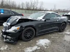 1FA6P8THXH5345952 2017 FORD MUSTANG