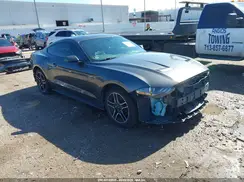 1FA6P8THXJ5146325 2018 FORD MUSTANG