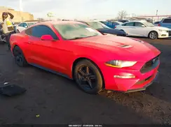 1FA6P8THXK5101550 2019 FORD MUSTANG
