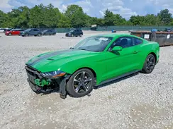 1FA6P8THXK5101614 2019 FORD MUSTANG