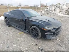 1FA6P8THXK5102844 2019 FORD MUSTANG