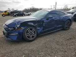 1FA6P8THXK5103413 2019 FORD MUSTANG