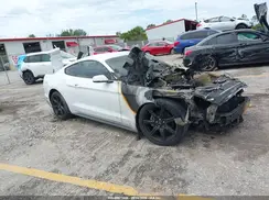 1FA6P8THXK5105453 2019 FORD MUSTANG
