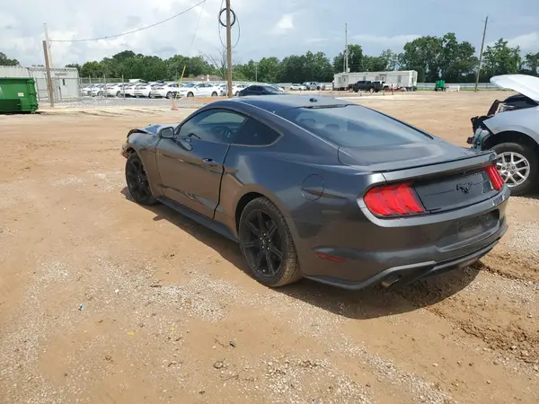 1FA6P8THXK5105677 2019 FORD MUSTANG - Image 2