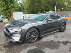 1FA6P8THXK5112404 2019 FORD MUSTANG