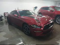 1FA6P8THXK5112516 2019 FORD MUSTANG
