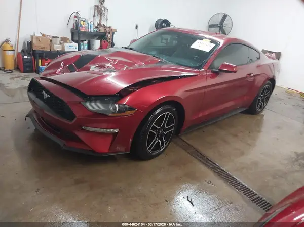 1FA6P8THXK5112516 2019 FORD MUSTANG - Image 2