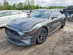 1FA6P8THXK5114640 2019 FORD MUSTANG