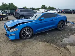 1FA6P8THXK5117828 2019 FORD MUSTANG