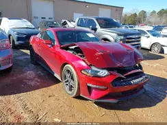 1FA6P8THXK5118817 2019 FORD MUSTANG