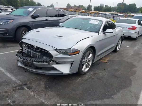 1FA6P8THXK5123113 2019 FORD MUSTANG - Image 2