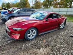1FA6P8THXK5129011 2019 FORD MUSTANG