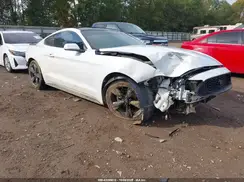 1FA6P8THXK5129204 2019 FORD MUSTANG