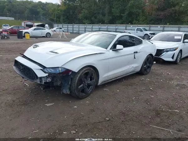 1FA6P8THXK5129204 2019 FORD MUSTANG - Image 2