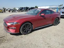 1FA6P8THXK5130823 2019 FORD MUSTANG