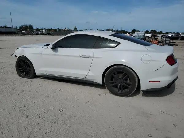 1FA6P8THXK5132491 2019 FORD MUSTANG - Image 2
