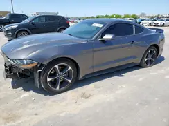 1FA6P8THXK5141899 2019 FORD MUSTANG