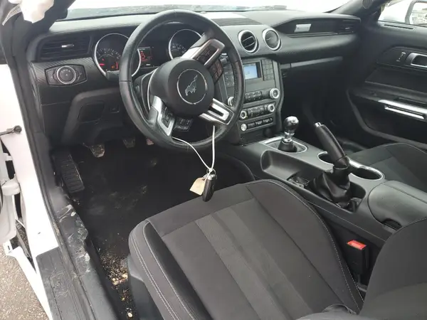 1FA6P8THXK5143331 2019 FORD MUSTANG - Image 8