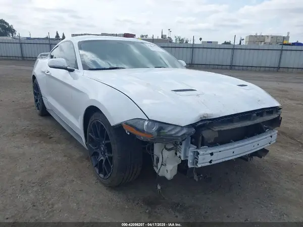 1FA6P8THXK5143703 2019 FORD MUSTANG - Image 1