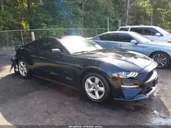 1FA6P8THXK5147167 2019 FORD MUSTANG