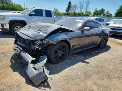 1FA6P8THXK5162879 2019 FORD MUSTANG