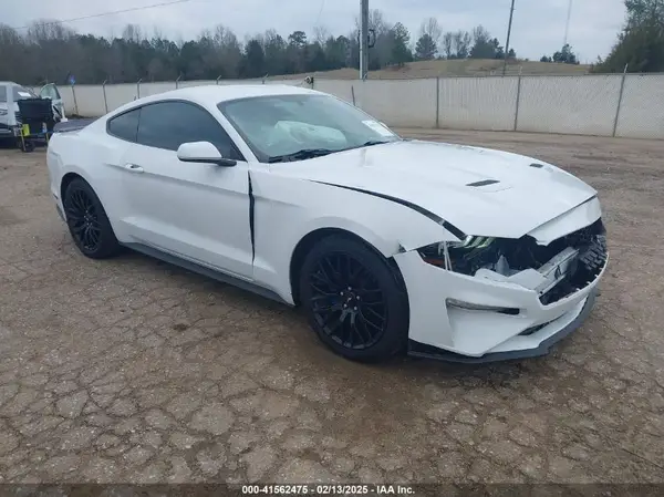 1FA6P8THXK5163210 2019 FORD MUSTANG - Image 1