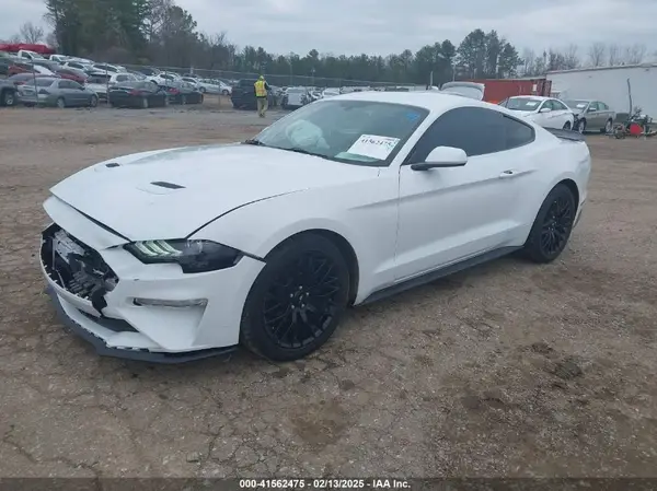 1FA6P8THXK5163210 2019 FORD MUSTANG - Image 2