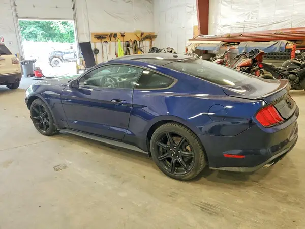1FA6P8THXK5165846 2019 FORD MUSTANG - Image 2