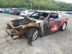 1FA6P8THXK5168049 2019 FORD MUSTANG