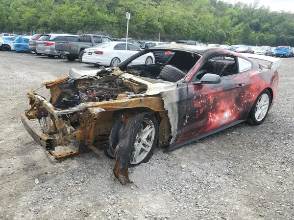 1FA6P8THXK5168049 2019 FORD MUSTANG - Image 1