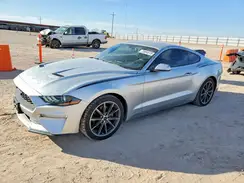 1FA6P8THXK5168763 2019 FORD MUSTANG