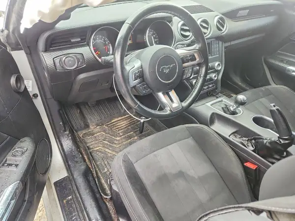1FA6P8THXK5173381 2019 FORD MUSTANG - Image 8