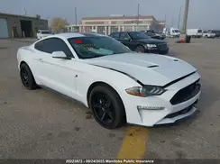 1FA6P8THXK5176099 2019 FORD MUSTANG