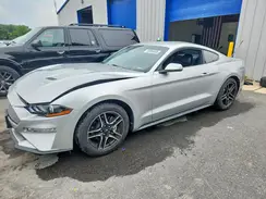 1FA6P8THXK5178029 2019 FORD MUSTANG