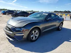 1FA6P8THXK5178080 2019 FORD MUSTANG