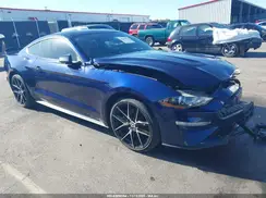 1FA6P8THXK5178113 2019 FORD MUSTANG
