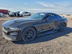 1FA6P8THXK5180380 2019 FORD MUSTANG