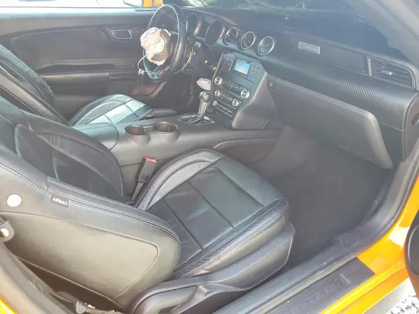 1FA6P8THXK5182565 2019 FORD MUSTANG - Image 8