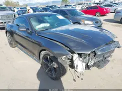 1FA6P8THXK5182808 2019 FORD MUSTANG