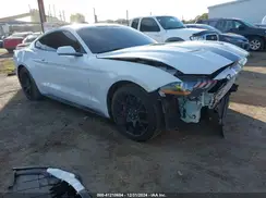 1FA6P8THXK5193081 2019 FORD MUSTANG
