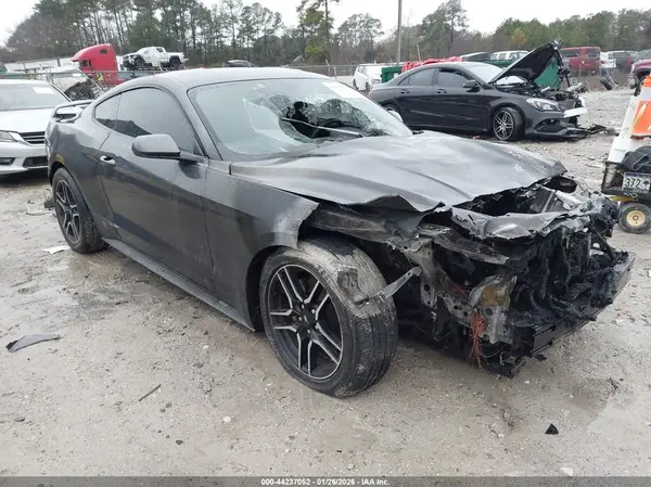 1FA6P8THXK5193906 2019 FORD MUSTANG - Image 1