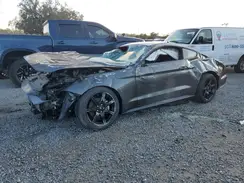 1FA6P8THXK5194067 2019 FORD MUSTANG