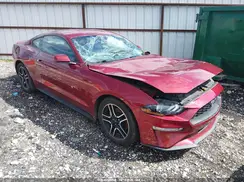 1FA6P8THXK5195610 2019 FORD MUSTANG