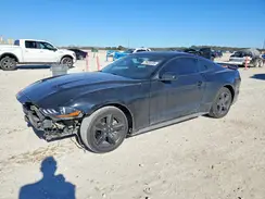 1FA6P8THXK5196384 2019 FORD MUSTANG
