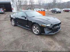 1FA6P8THXK5200823 2019 FORD MUSTANG