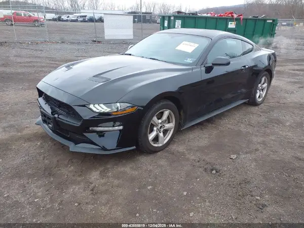 1FA6P8THXK5200823 2019 FORD MUSTANG - Image 2