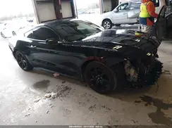 1FA6P8THXK5201227 2019 FORD MUSTANG