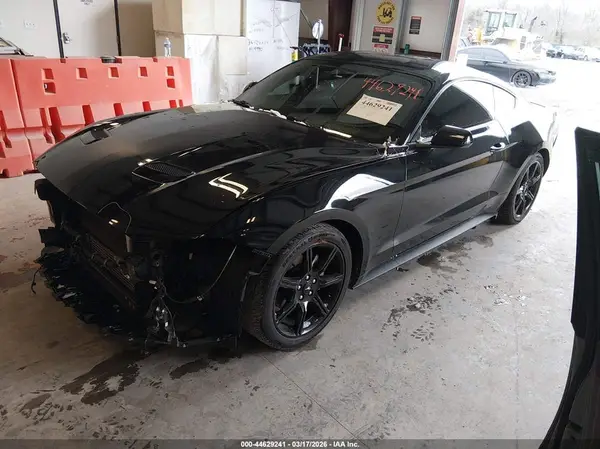 1FA6P8THXK5201227 2019 FORD MUSTANG - Image 2