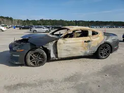 1FA6P8THXL5103350 2020 FORD MUSTANG
